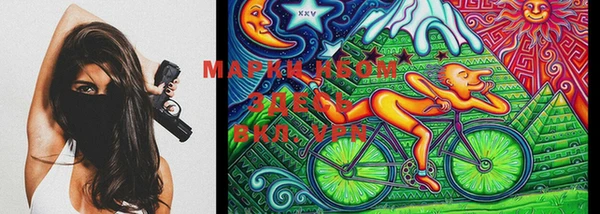 ПСИЛОЦИБИНОВЫЕ ГРИБЫ Магас