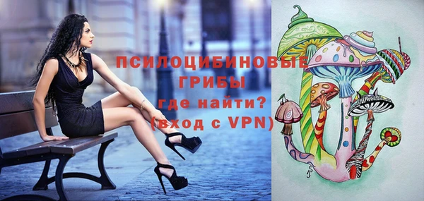 твердый Алексеевка