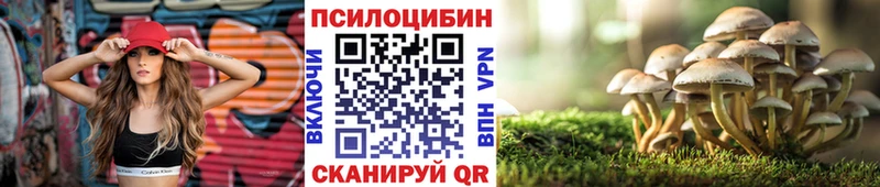 купить наркотик  blacksprut   сайты даркнета состав  Ставрополь  Галлюциногенные грибы MAGIC MUSHROOMS 