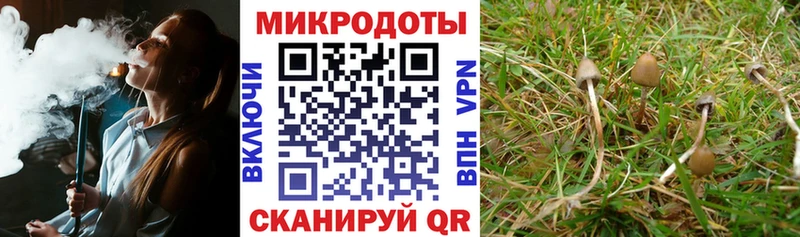 Галлюциногенные грибы мухоморы Ставрополь