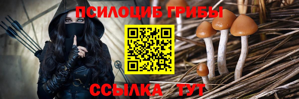 Псилоцибиновые грибы мухоморы  Вход с VPN  Ставрополь 